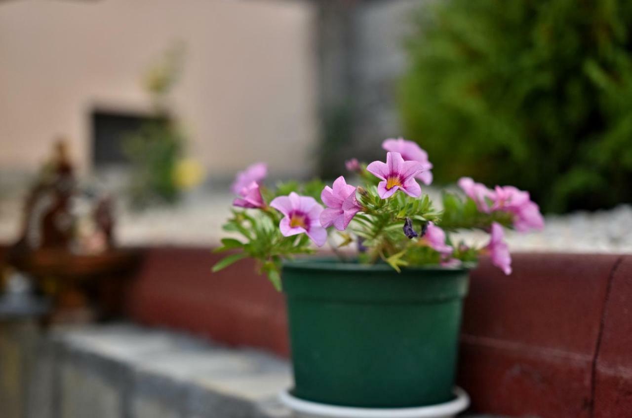Saint Maria Guest House Velingrad Exterior foto